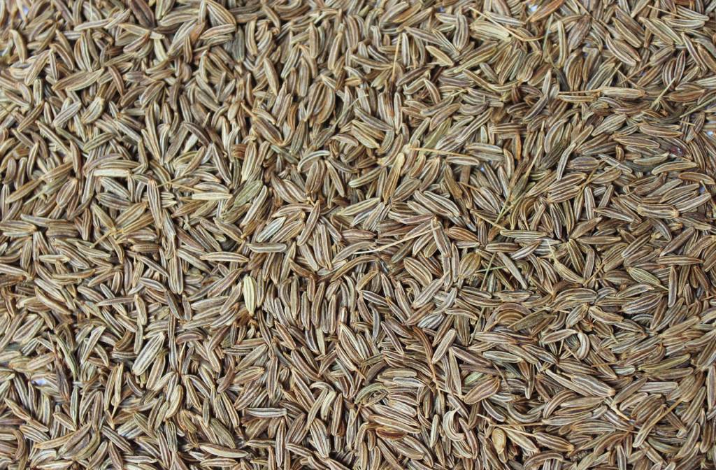 Shemin's Cumin Seeds