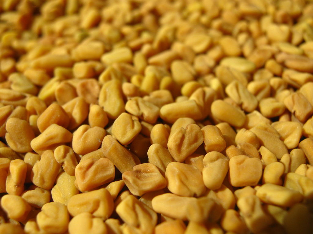 shemins fenugreek seeds