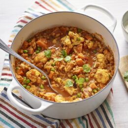 Shemin's Vegetable Dhansak