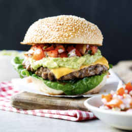 Shemin's Mexican Burgers